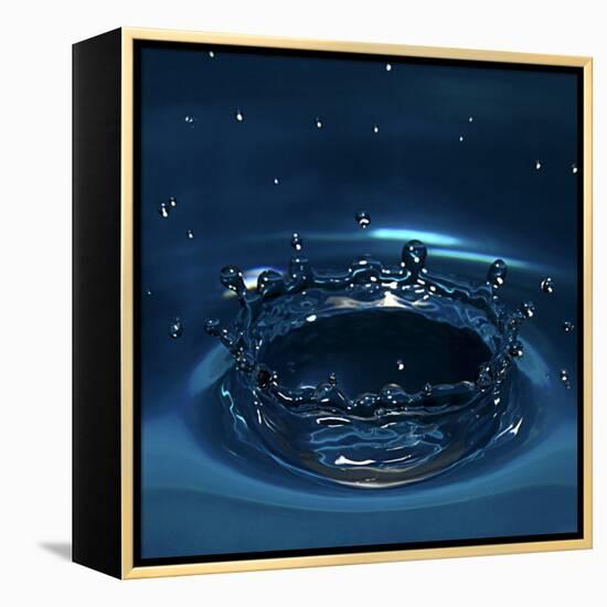 Water Drop Impact-Linda Wright-Framed Premier Image Canvas