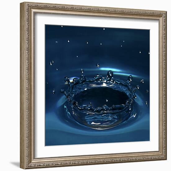 Water Drop Impact-Linda Wright-Framed Premium Photographic Print