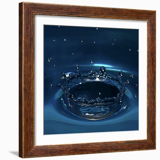 Water Drop Impact-Linda Wright-Framed Premium Photographic Print