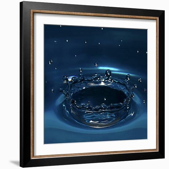 Water Drop Impact-Linda Wright-Framed Premium Photographic Print