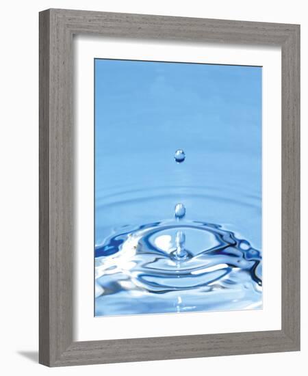 Water Drop Impact-Tony McConnell-Framed Photographic Print