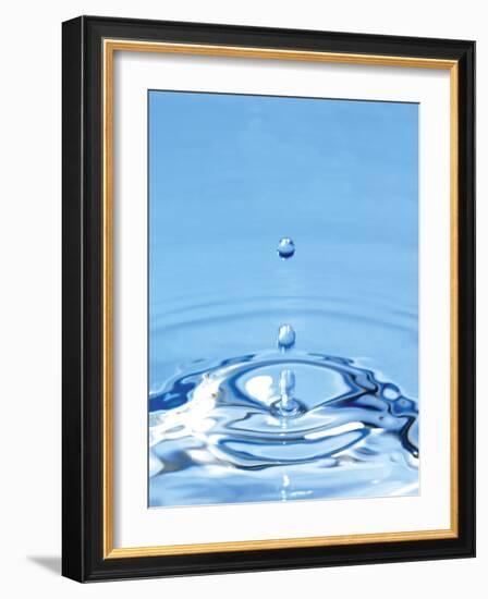 Water Drop Impact-Tony McConnell-Framed Photographic Print