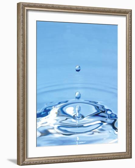 Water Drop Impact-Tony McConnell-Framed Photographic Print