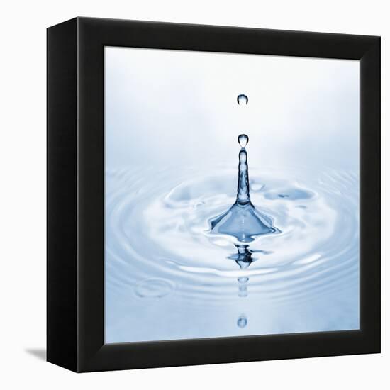 Water Droplet and Ripple-null-Framed Premier Image Canvas