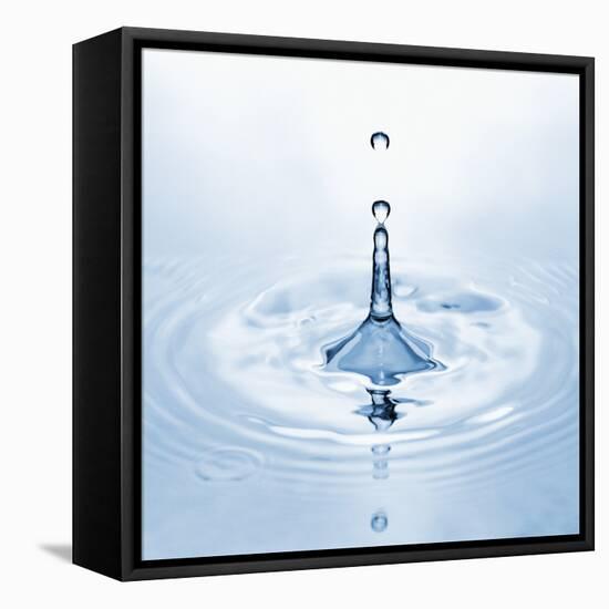 Water Droplet and Ripple-null-Framed Premier Image Canvas