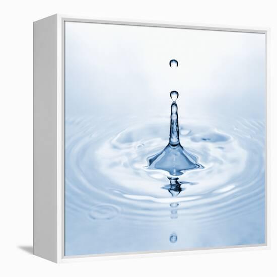 Water Droplet and Ripple-null-Framed Premier Image Canvas