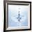 Water Droplet and Ripple-null-Framed Photographic Print