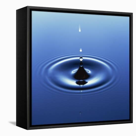 Water Droplet Hitting Water Surface Creating Ripples-Roy Rainford-Framed Premier Image Canvas