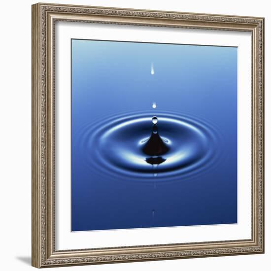 Water Droplet Hitting Water Surface Creating Ripples-Roy Rainford-Framed Photographic Print