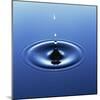 Water Droplet Hitting Water Surface Creating Ripples-Roy Rainford-Mounted Photographic Print