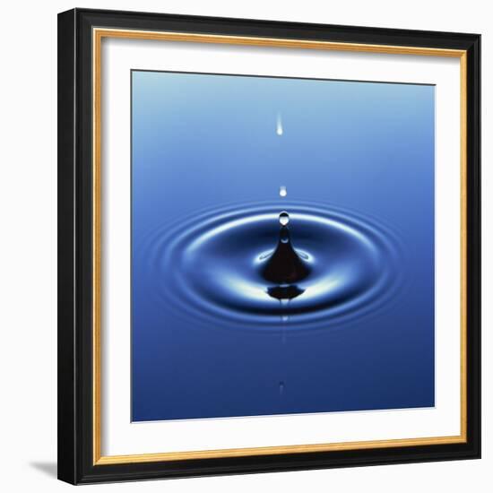 Water Droplet Hitting Water Surface Creating Ripples-Roy Rainford-Framed Photographic Print