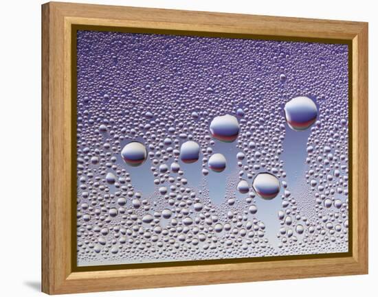 Water Droplets-null-Framed Stretched Canvas