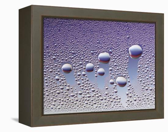 Water Droplets-null-Framed Stretched Canvas