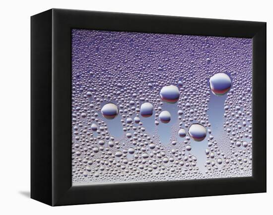 Water Droplets-null-Framed Stretched Canvas