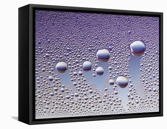 Water Droplets-null-Framed Stretched Canvas