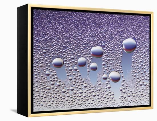 Water Droplets-null-Framed Stretched Canvas