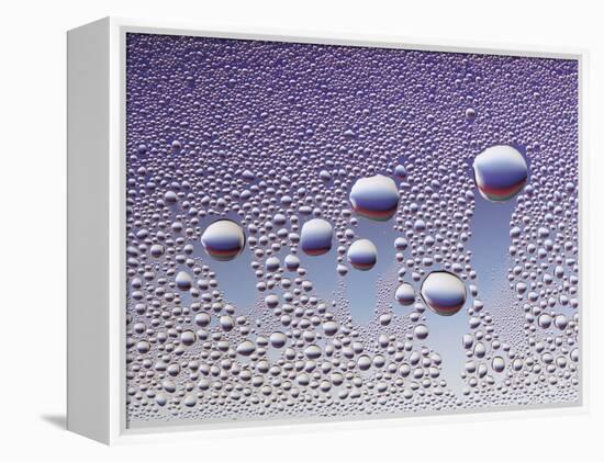 Water Droplets-null-Framed Stretched Canvas
