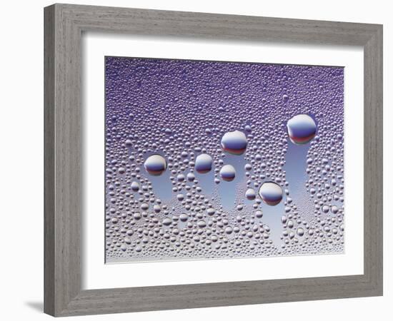 Water Droplets-null-Framed Photo