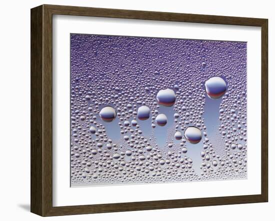 Water Droplets-null-Framed Photo