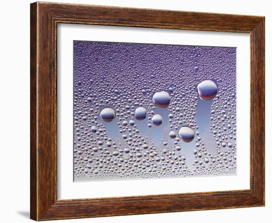 Water Droplets-null-Framed Photo