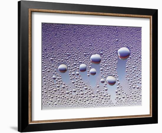 Water Droplets-null-Framed Photo