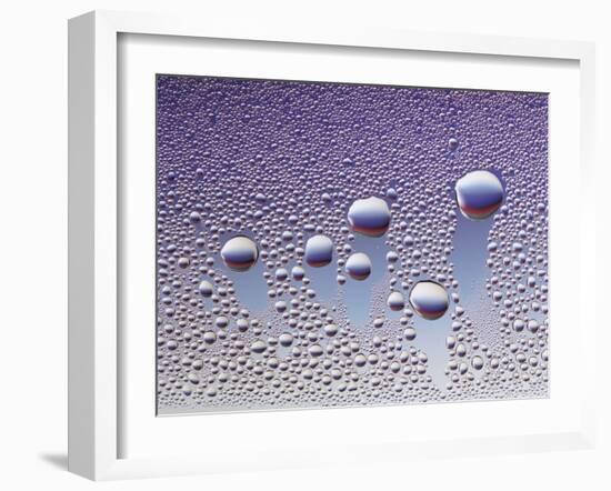 Water Droplets-null-Framed Photo