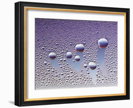 Water Droplets-null-Framed Photo