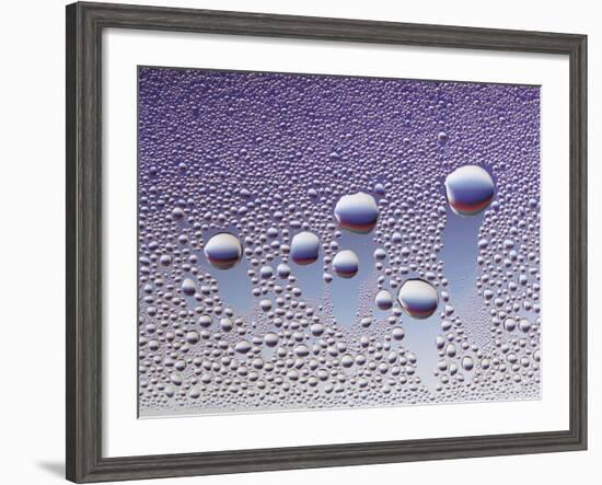 Water Droplets-null-Framed Photo