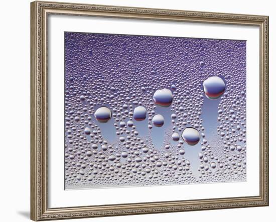 Water Droplets-null-Framed Photo