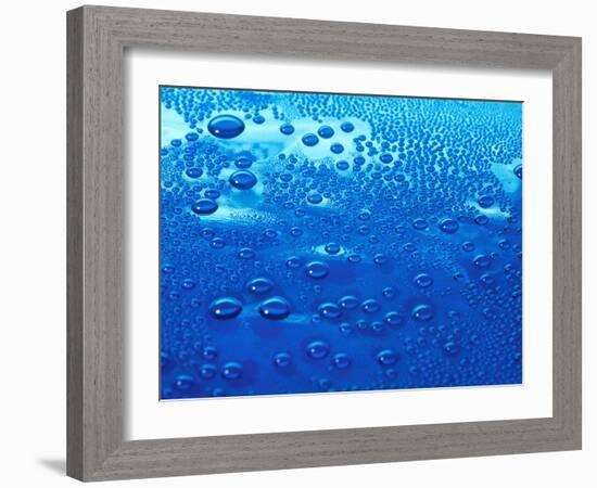 Water Droplets-Detlev Van Ravenswaay-Framed Photographic Print