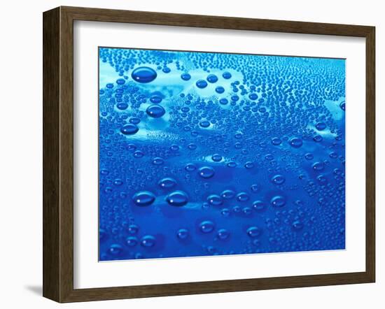 Water Droplets-Detlev Van Ravenswaay-Framed Photographic Print