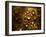 Water Droplets-null-Framed Photographic Print