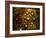 Water Droplets-null-Framed Photographic Print