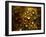 Water Droplets-null-Framed Photographic Print