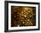 Water Droplets-null-Framed Photographic Print