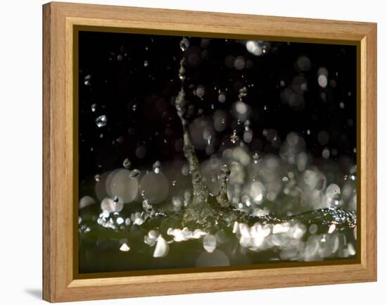Water Drops Falling-null-Framed Premier Image Canvas
