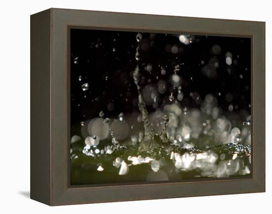 Water Drops Falling-null-Framed Premier Image Canvas