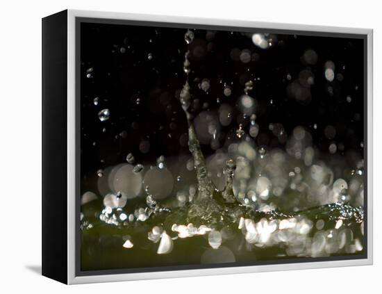 Water Drops Falling-null-Framed Premier Image Canvas