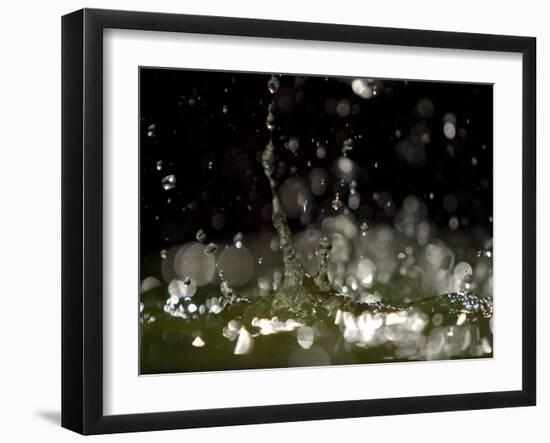 Water Drops Falling-null-Framed Photographic Print