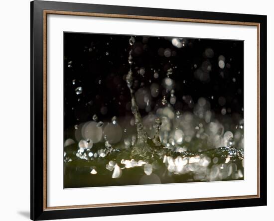 Water Drops Falling-null-Framed Photographic Print