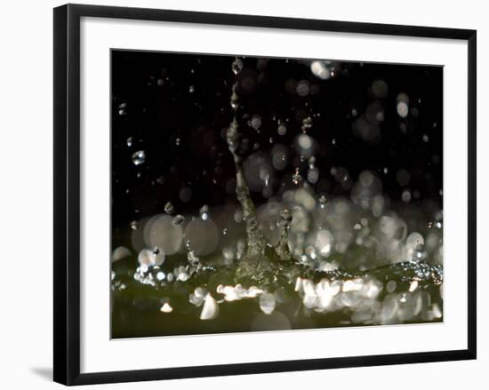 Water Drops Falling-null-Framed Photographic Print
