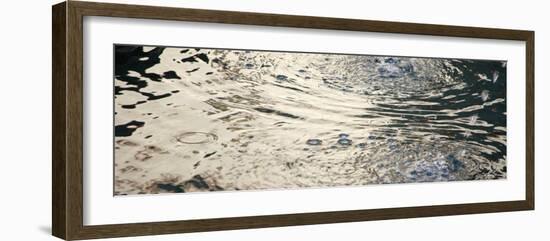 Water Drops II-Nicole Katano-Framed Photo