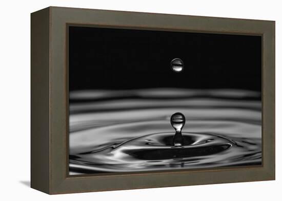 Water Drops-marosbauer-Framed Premier Image Canvas