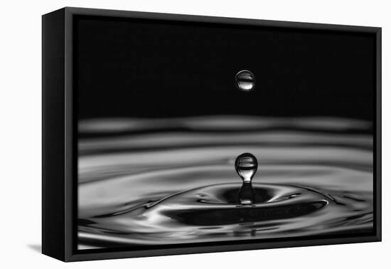 Water Drops-marosbauer-Framed Premier Image Canvas