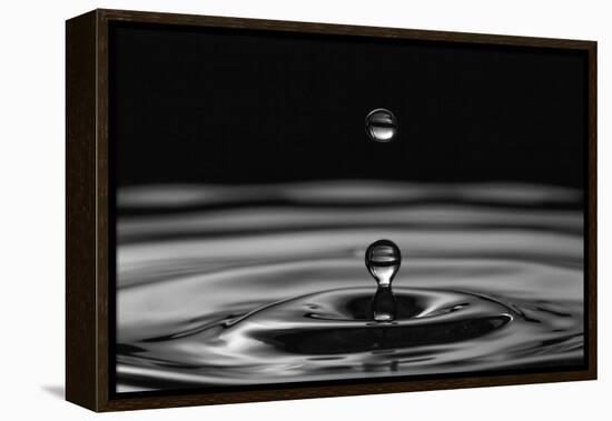 Water Drops-marosbauer-Framed Premier Image Canvas