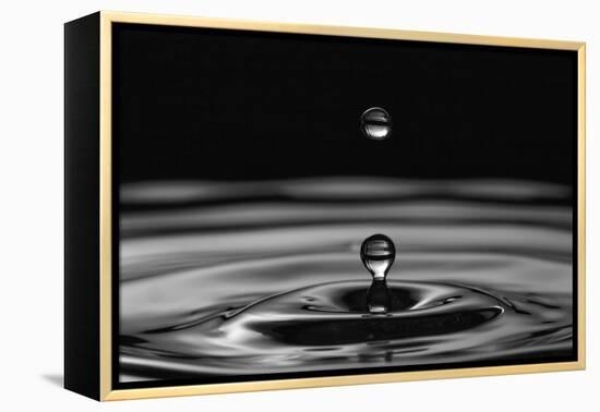 Water Drops-marosbauer-Framed Premier Image Canvas