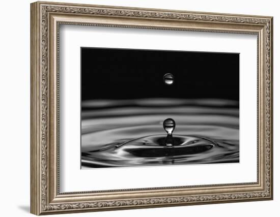 Water Drops-marosbauer-Framed Photographic Print