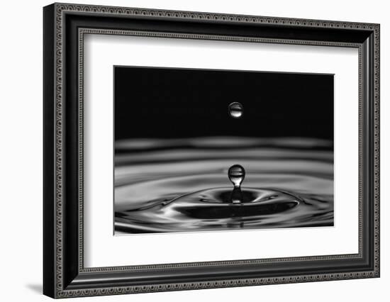 Water Drops-marosbauer-Framed Photographic Print