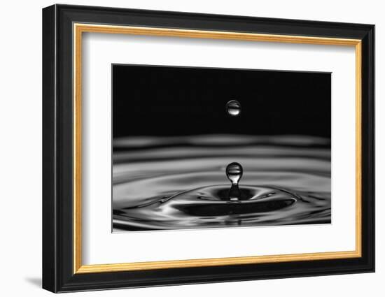 Water Drops-marosbauer-Framed Photographic Print