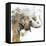 Water Elephant with Gold-Patricia Pinto-Framed Stretched Canvas